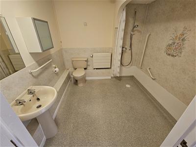 Picture 8